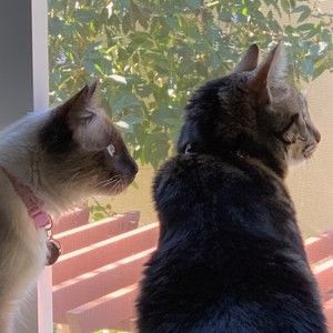 Meet your Posher, Tom